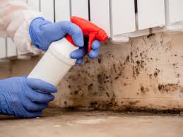 Best HVAC Mold Inspection and Cleaning  in Girardville, PA